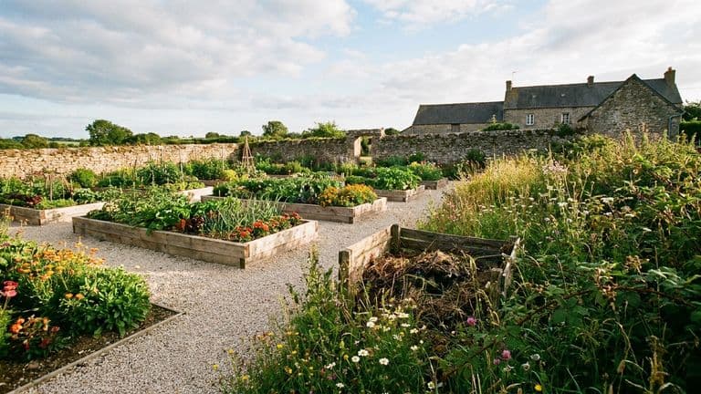 Planifier son potager de A à Z : méthode, outils, exemples